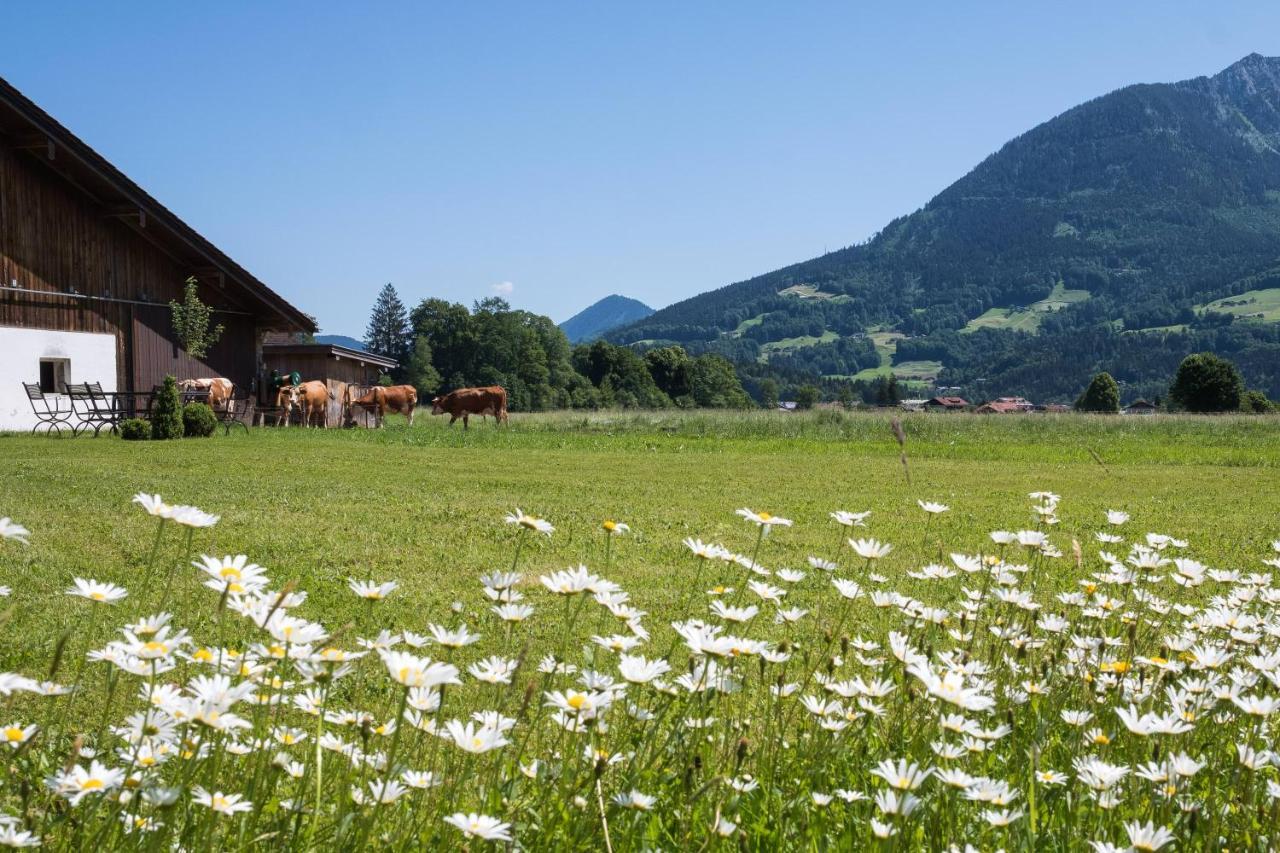Schönau am Königssee Ferienwohnung Drachllehen מראה חיצוני תמונה